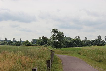 Fernblick